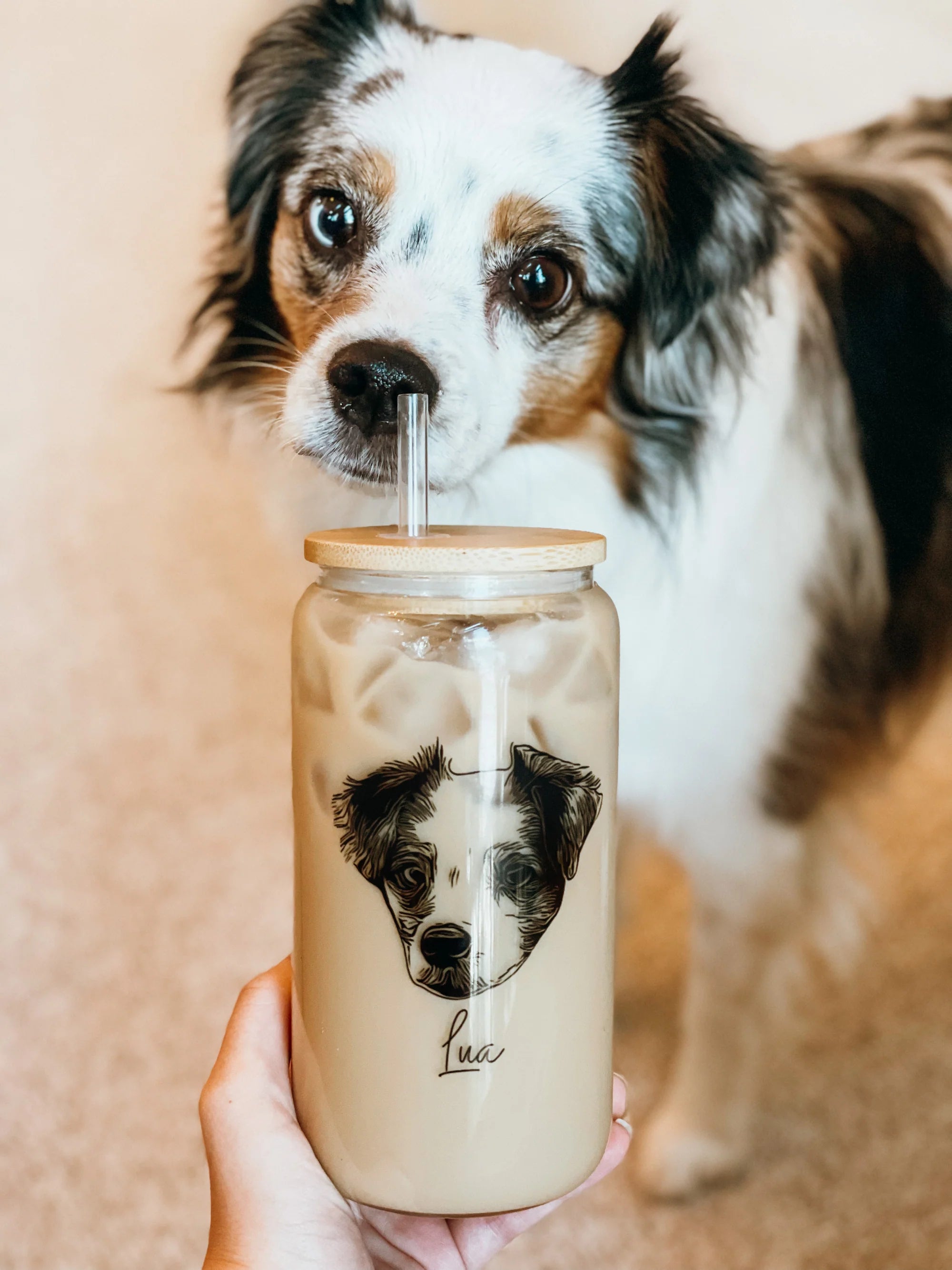 custom pet Glass Can